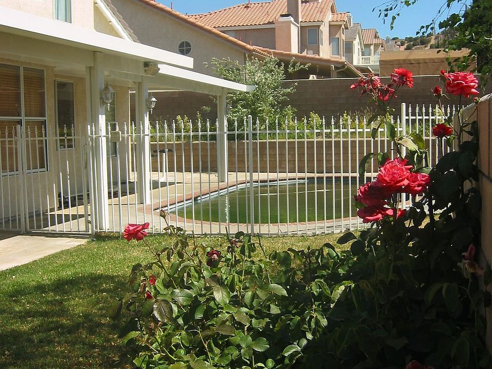 Low Maintenance Yard.