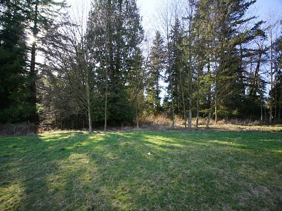 Thriving with life! There is marketable timber on this land including cedar and firs.