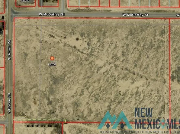 1203 S Brown Rd, Roswell, NM 88203