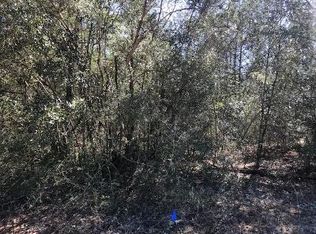 4 Mint St, Mossy Head, FL 32434