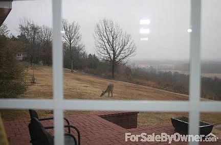 Drive way up toward the house.
