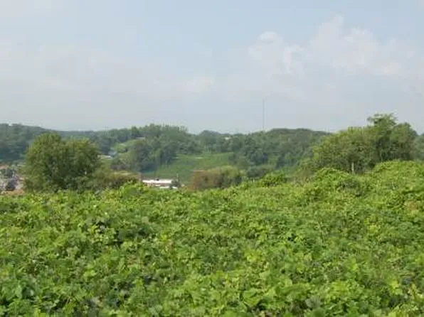 Colonial Ave, Copperhill, TN 37317