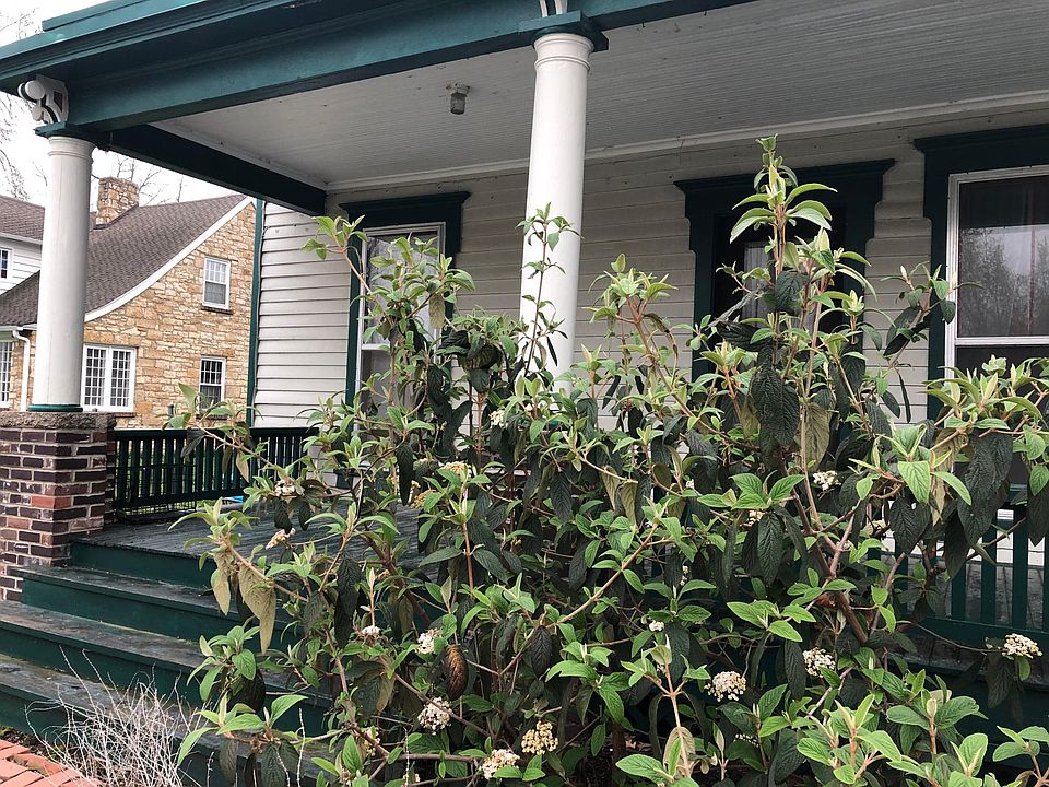 Abundant Landscaping