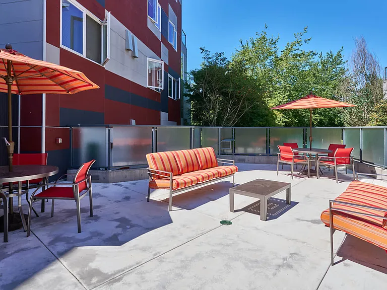 Sun Deck