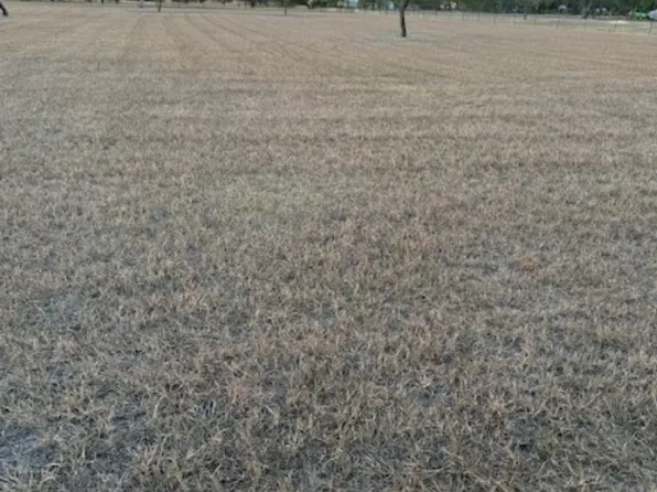 3872 Cobb Ln, Robstown, TX 78380