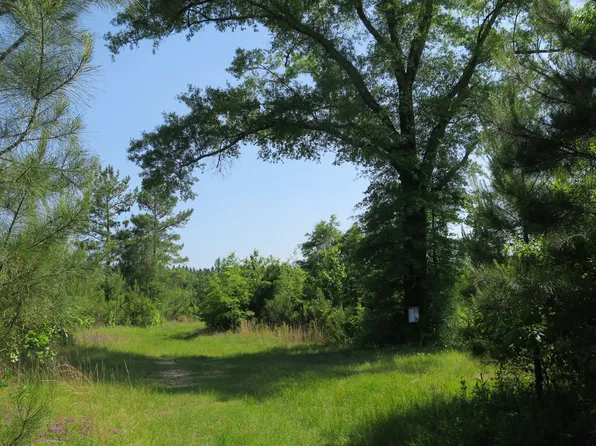 Dykes Chapel Rd Lot Wp001, Richton, MS 39476