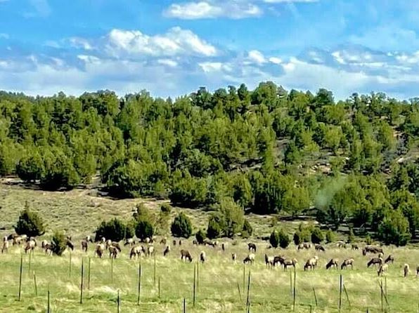 403 & 409 S Mineral Springs Rd, Mount Carmel, UT 84755
