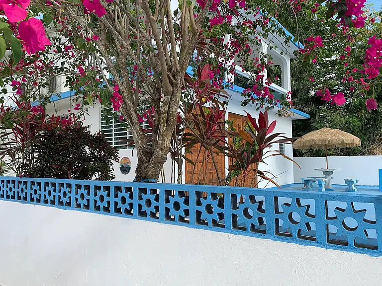 340 Calle Angelica — Photo 8