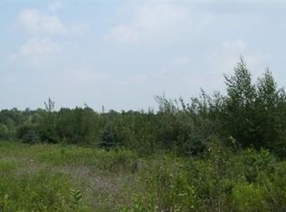 E Sidney Rd, Stanton, MI 48888