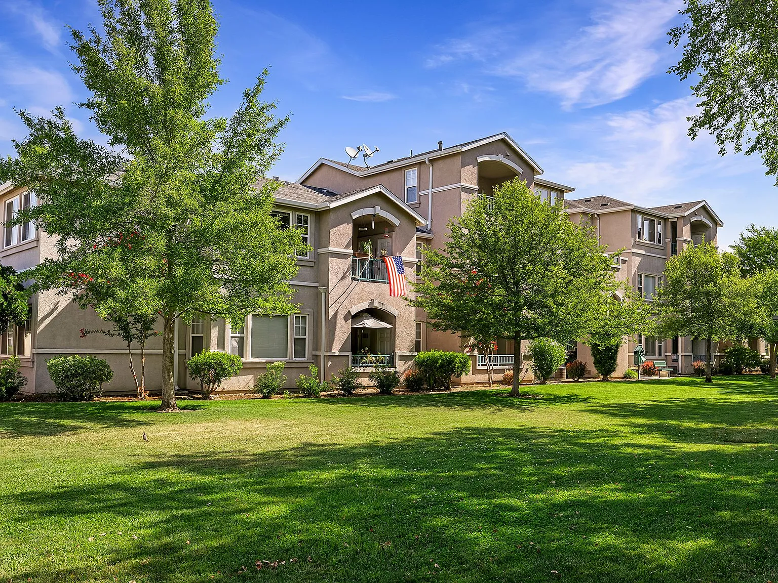 Sterling Oaks Luxury Apartments — Photo 1