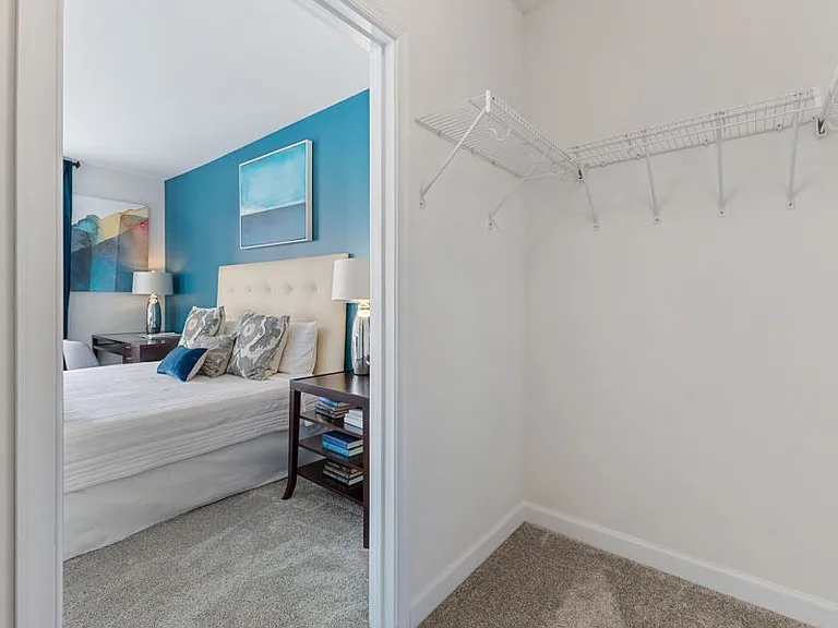 Large walk-in closets with shelving