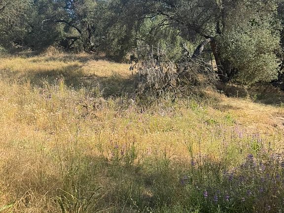 2nd image of 28595 Copper Creek Dr