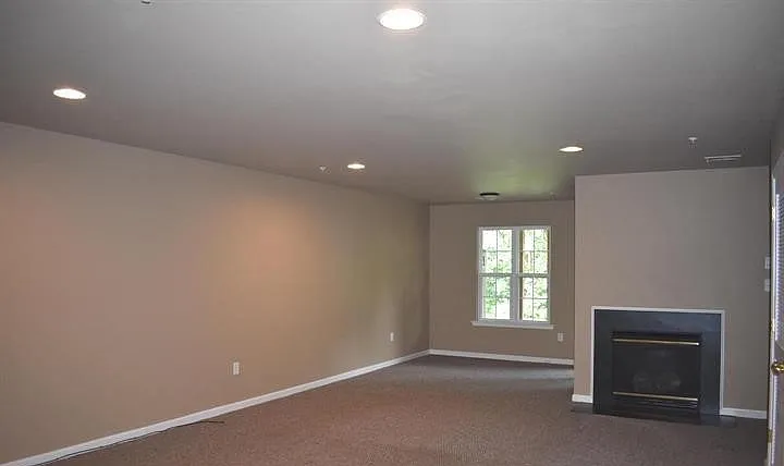 Walkout Fully finished Basement with Full Bath and Laundry Room