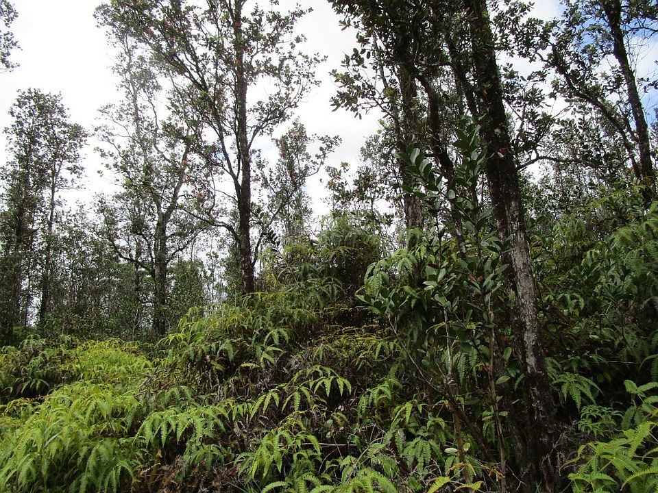 2nd image of Io Kea Road Rd #4-lot 3495