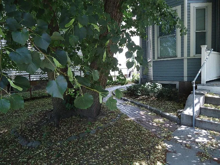 50 Monastery Rd #2 — Photo 20