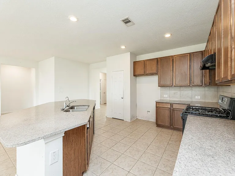 25342 Briscoe Village Dr — Photo 15