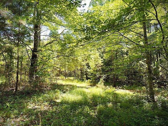 5th image of 0 Marcrom Rd