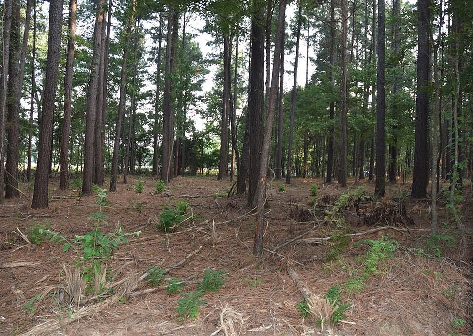 2nd image of 1180 Brannon Rd