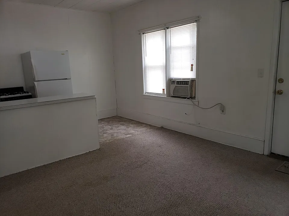 Living Room/Kitchen Area