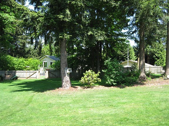 Backyard 2