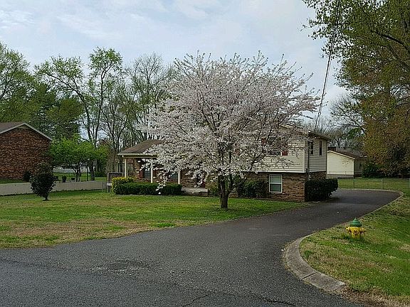 2nd image of 830 Belvedere Dr