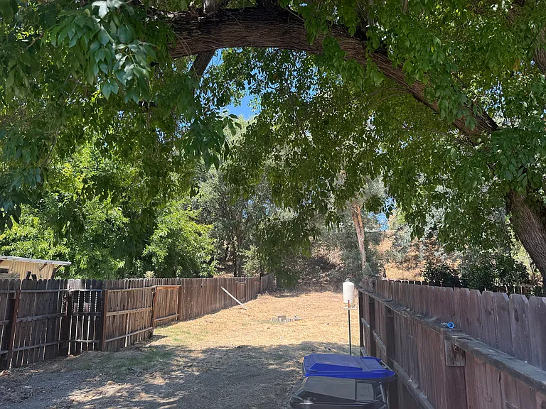 20454 Reeds Creek Rd — Photo 19
