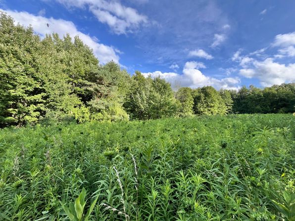 0 S Greenbush Rd #12, Erin, NY 14838