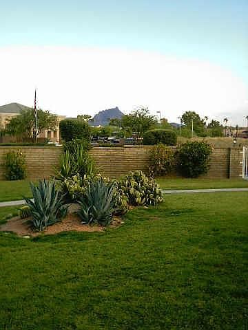 1st image of 16912 N La Montana Drive #D114
