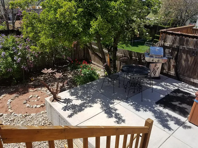 Back yard