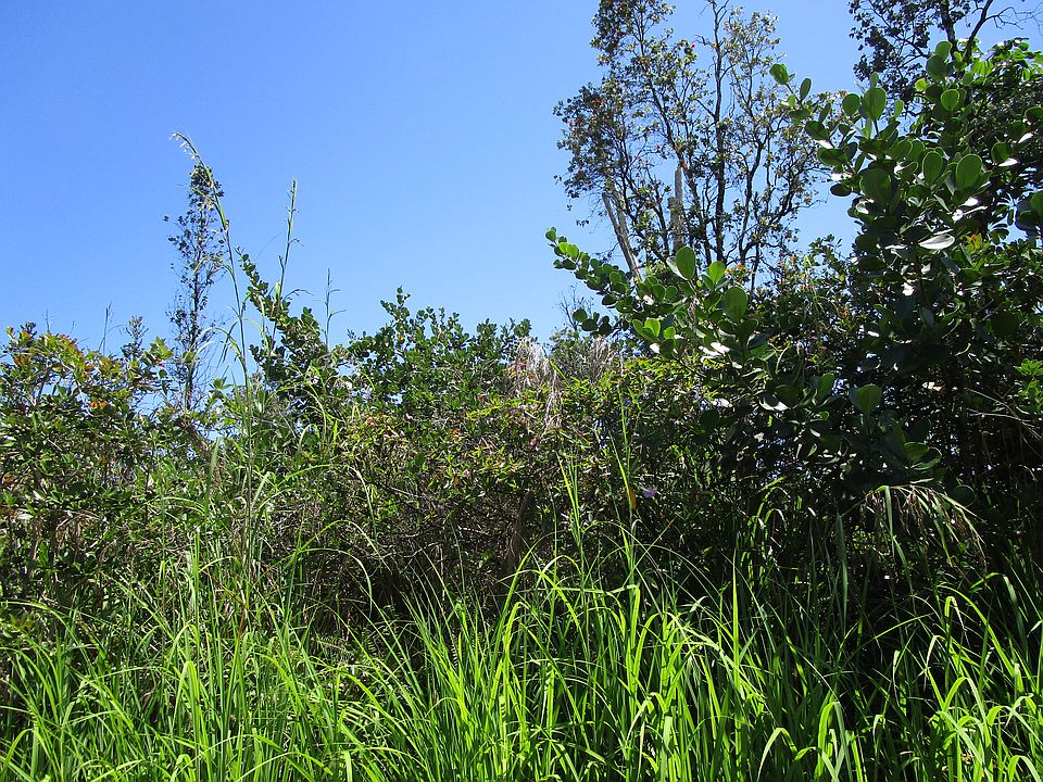 1st image of 11th Ave Lot 1551