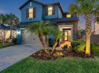 4611 San Martino Dr, Wesley Chapel, FL 33543