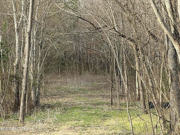 3rd image of 1115 Frank Campbell Rd