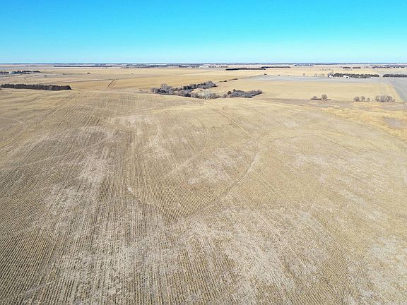 3rd image of 37 Road