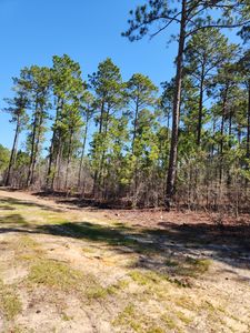 LOT 29 Cool Mount Dr, Aiken, SC, 29803