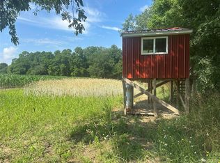 Mertz Rd, Mayville, MI 48744