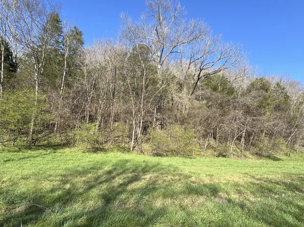 0 Spring Valley Rd Lot T-1, Taft, TN 38488