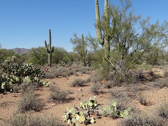 2nd image of 0000C N Sweetwater Dr