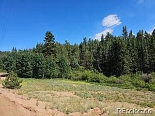 4th image of 1164 Arapahoe Creek Trail