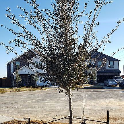 4th image of 8107 Wahi Ln