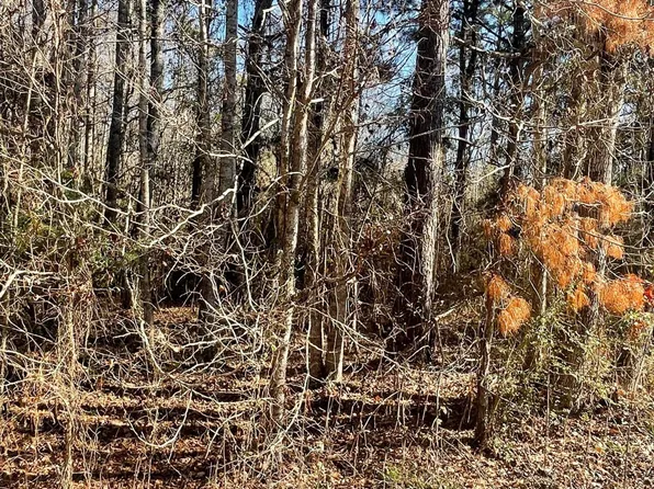 Bradley Rd, Edwards, MS 39066