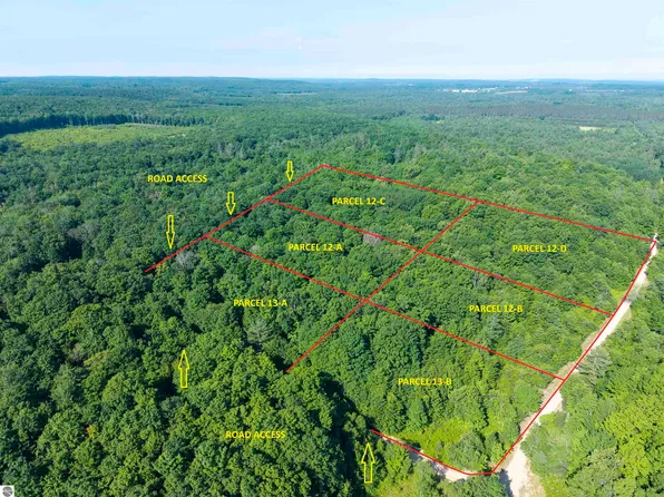 13B Plainfield Trl #13-B, Elmira, MI 49730