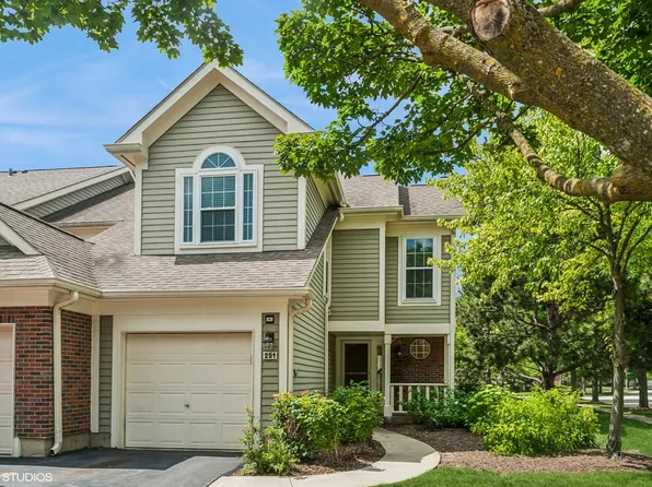 251 Cobblestone Ct, Schaumburg, IL 60173