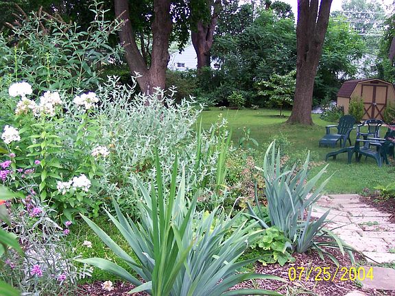 Rear Gardens