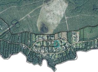 LOT 3 Horseshoe Loop, Saint George, GA 31562