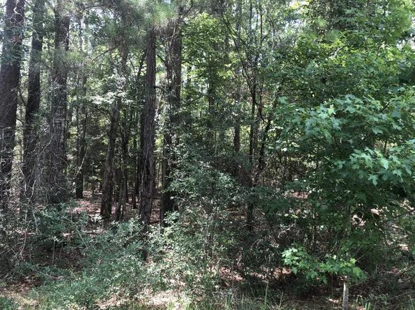 280 Doebecker Dr, Brookeland, TX 75931