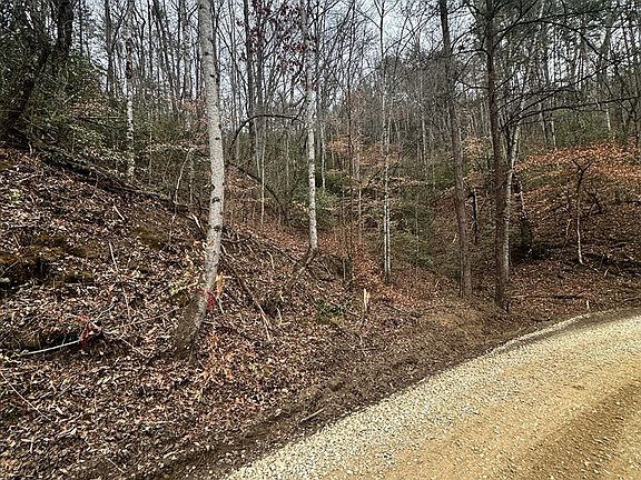 3rd image of 0 Tatham Gap Road