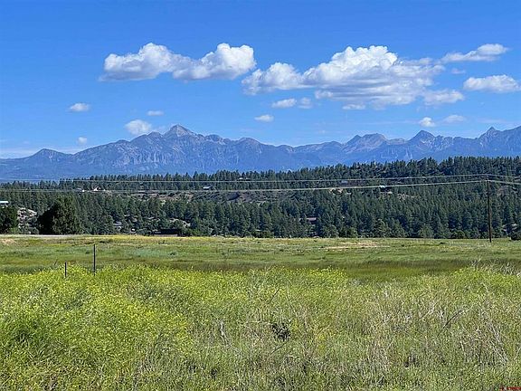 5th image of Lot 8 Bristlecone