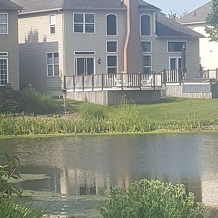 3rd image of 33834 Crown Colony Dr