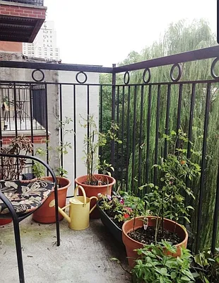 Rented by Empire Deeds LLC  | media 6