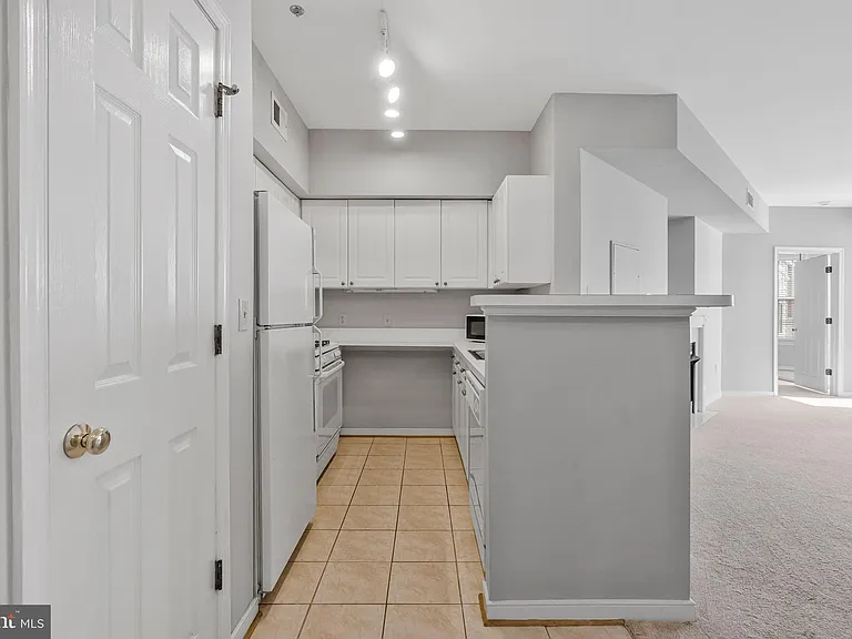 1625 International Dr #321 — Photo 11